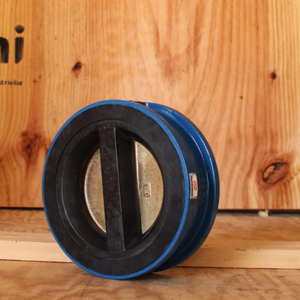 Clapet anti-retour double battant