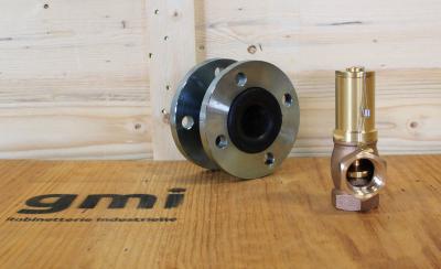 Compensateur de dilatation et soupape de décharge