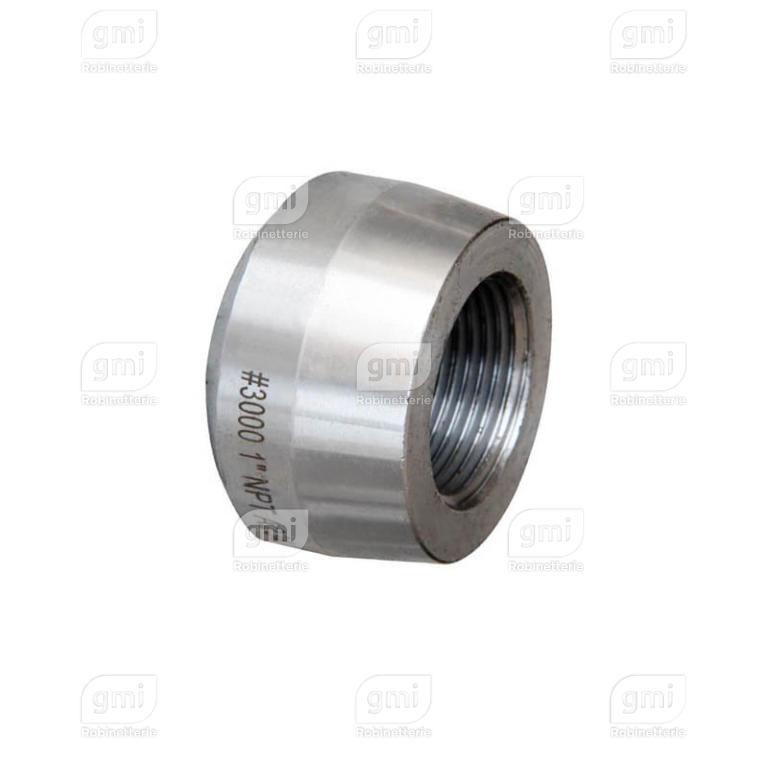 Threadolet Inox