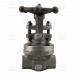 Gate valve Inox #800